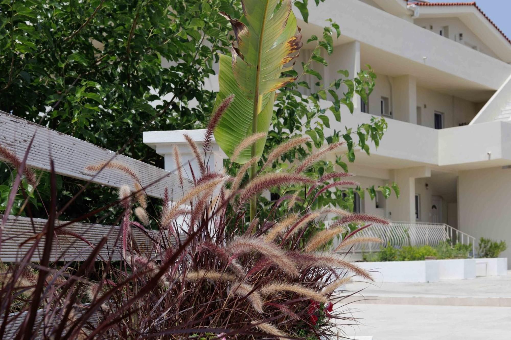 Maggana Residence 米尼亚 外观 照片